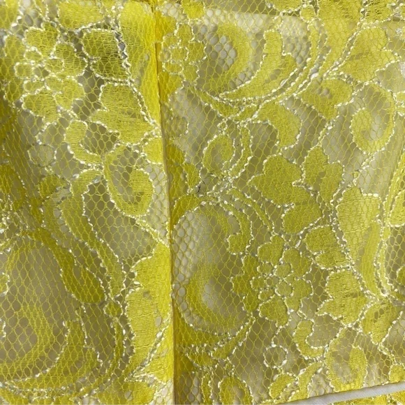 Abs Allen Schwartz Yellow Spring Summer Lace Garden Party Dress Size 2 - Picture 10 of 10